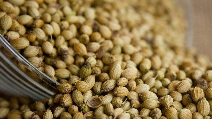 coriander-390015_1280_0