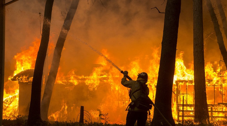 Kaliforniai tűzvész / Fotó:MTI-EPA