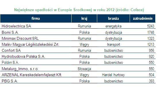 Największe upadłości w Europie Środkowej w roku 2012 (źródło: Coface)
