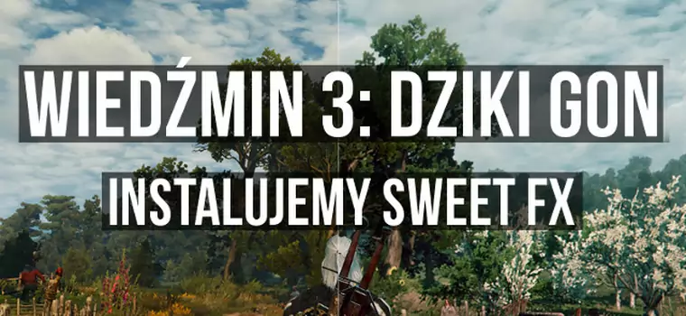 Wiedźmin 3: Dziki Gon - instalujemy SweetFX, modyfikacje grafiki