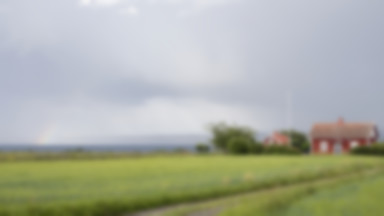 Bratanek sprzedał ich razem z domem, sprawa trafiła do Sądu Najwyższego