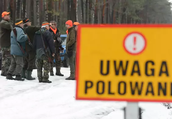 Myśliwi chcą polować przy granicy polsko-białoruskiej."Tam wszędzie mogą być migranci"