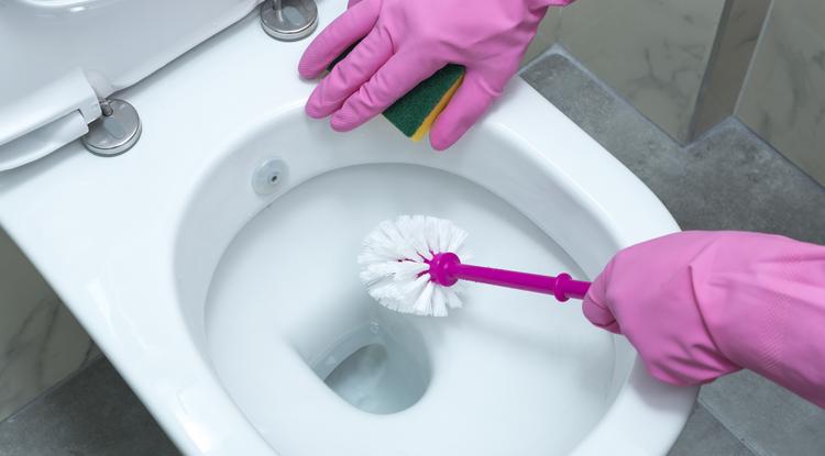 Ezt a lépést sose hagyd ki WC-tisztítás után Fotó: Getty Images