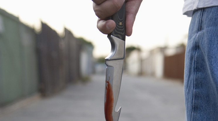 A két tinédzser összeszólalkozott, mire a fiú kést rántott /Foto: Northfoto