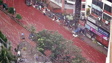 Ulice stolicy Bangladeszu spłynęły krwią