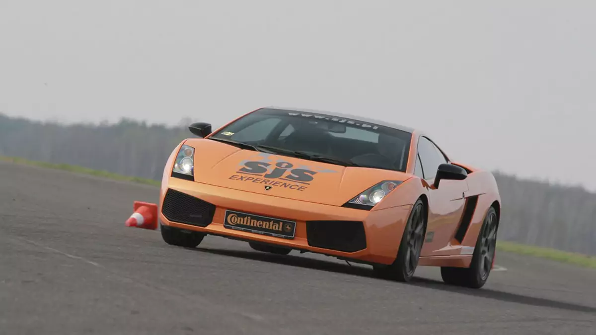 Test Lamborghini Gallardo: dzielny byk