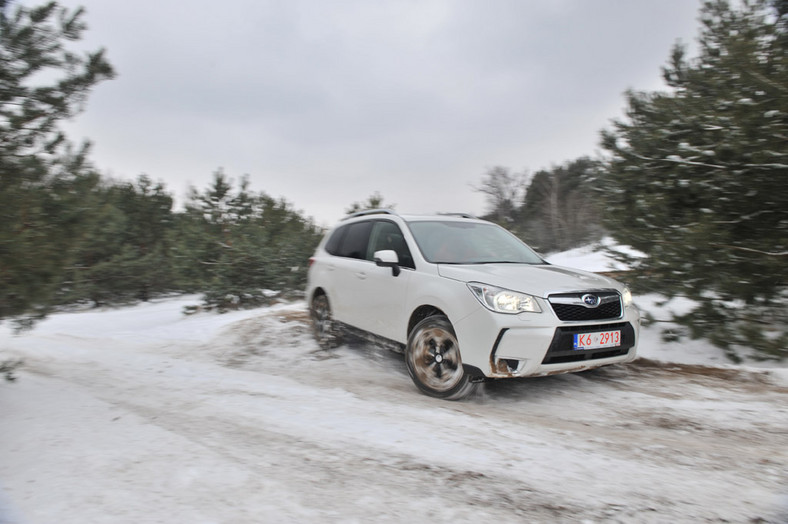 Toyota RAV4 kontra Ford Kuga i Subaru Forester: porównanie najnowszych SUV-ów na rynku