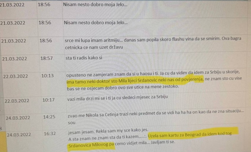 Skaj prepiska Vesne Medenice u kojoj se spominje Ilija Srdanović