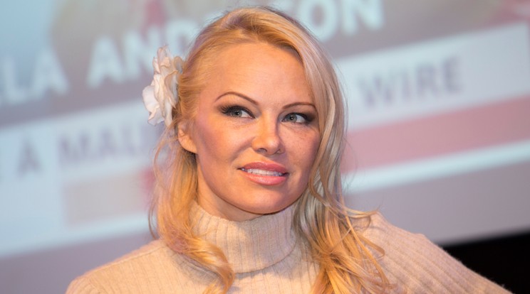 Pamela Anderson azt állítja, hogy fiatalabb párja mindvégig megcsalta őt /Fotó: Northfoto