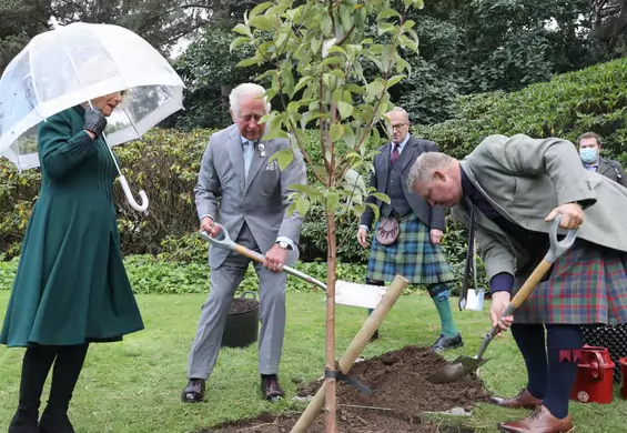 Brytyjczycy będą sadzić drzewa w hołdzie dla królowej Elżbiety II. To zasługa króla Karola III