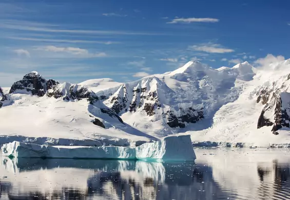 Naukowcy przez przypadek znaleźli życie pod lodem Antarktydy. "Myśleliśmy, że to niemożliwe"