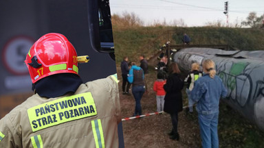 Kot utknął w rurze ciepłowniczej. Akcja ratunkowa trwa już siedem dni