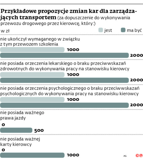 Przykładowe propozycje zmian kar dla zarządzających transportem