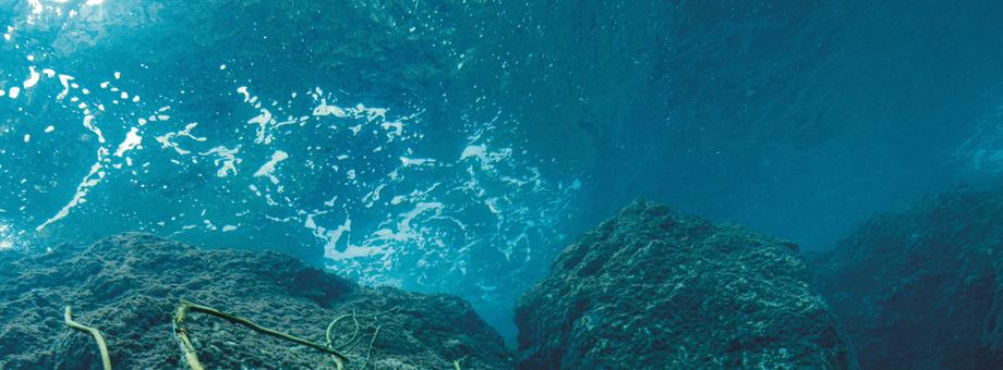 Pod wodą można odciąć się od wszelkich bodźców i uspokoić umysł. Dlatego doświadczeni freediverzy, tacy jak Emilia Biała, spędzają tam z przerwami nawet po kilka godzin dziennie.