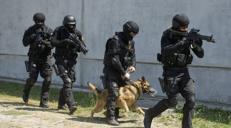 A TEK emberei hat embert állítottak elő, azt hitték, hogy terroristákat fogtak /Fotó: MTI-Koszticsák Szilárd