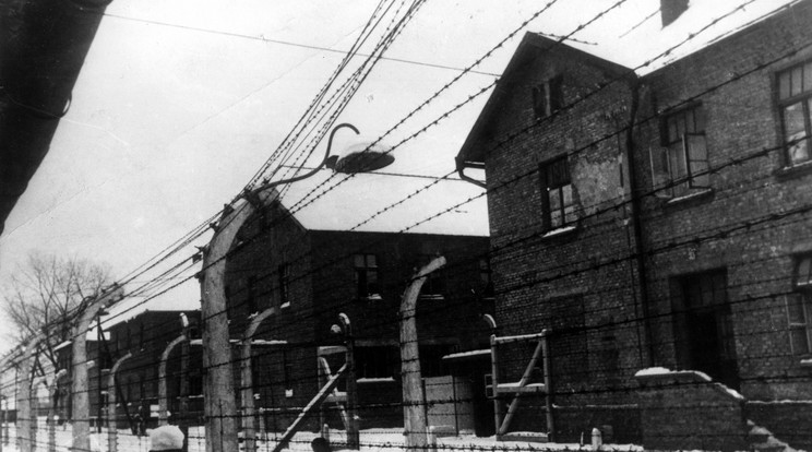 Milliók vesztek oda Auschwitzban /fotó: Northfoto