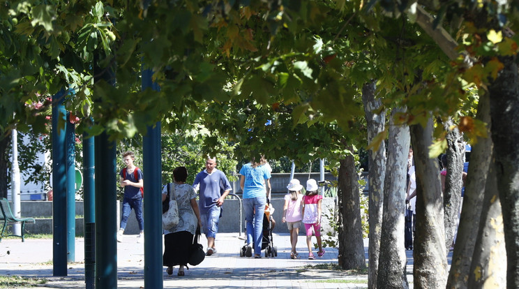 A békásmegyeri lakótelep 2016-ban, amikor betofilbotrány kavarta fel a helyiek életét. / Fotó: RAS archív