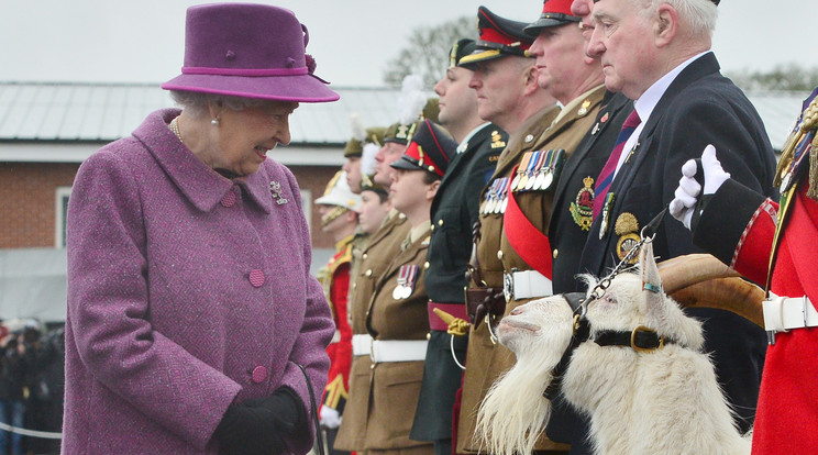 II. Erzsébet Királynő meglátogatta a Walesi királyi ezredet  / Fotó: GettyImages