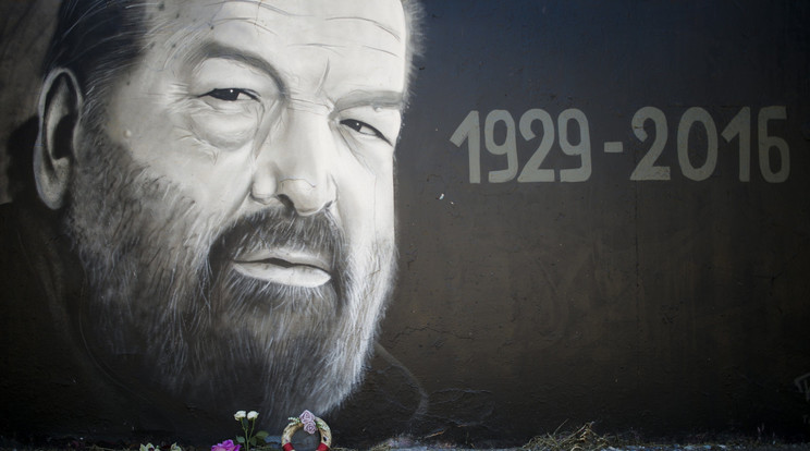 Bud Spencer unokája egy magyar graffitit
választott Facebook-oldala borítóképének, világhírűvé téve TakerOne művét /Fotó: MTI Marjai János