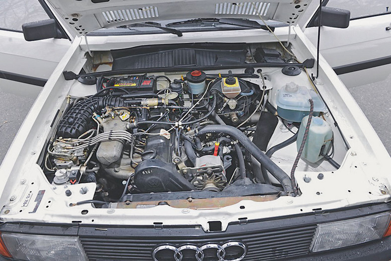 Audi 80 Quattro
- Szlachetny gronostaj