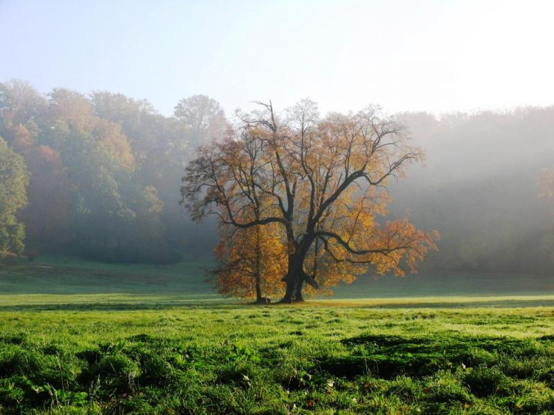 Park Mużakowski