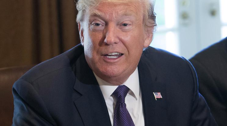 Donald Trump/Fotó: Getty Images
