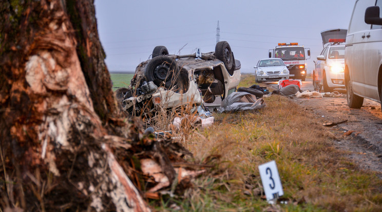 A sofőr nem élte túl a balesetet / Fotó: MTI-Donka Ferenc