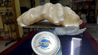 Na Filipinach odkryto największą perłę świata. Jest warta... 100 milionów dolarów!