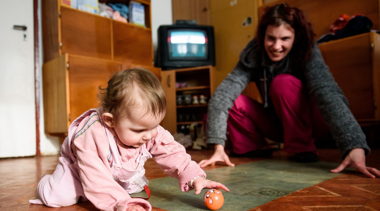 Ki tudja, miért kényszerültek erre a helyre / Fotó: MTI - Komka Péter