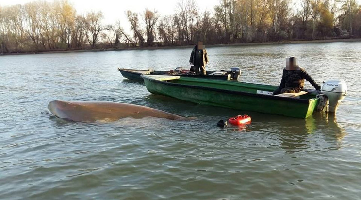 A három horgász a jéghideg Tiszába zuhant. Szerencséjükre túlélték/Fotó: police.hu