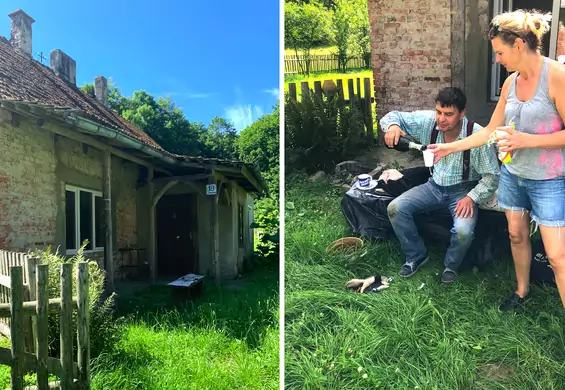 Polacy remontują stary dom w gaju. "Wilgoć, pleśń i problemy"