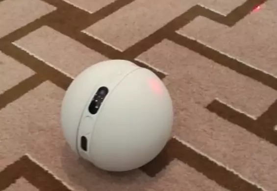Nowy robot zajmie się twoim kotem i przypilnuje mieszkania, kiedy z niego wyjdziesz
