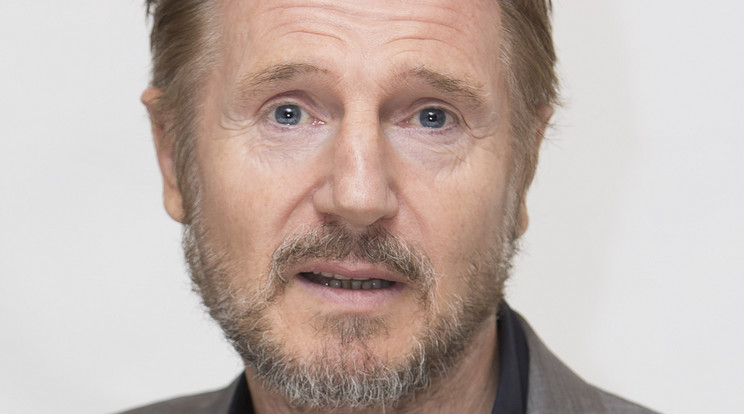 Liam Neeson/Fotó:Northfoto