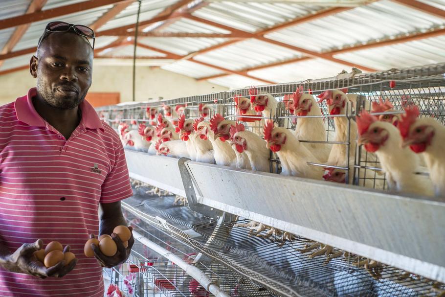 Neudamm Farm Of the University of Namibia