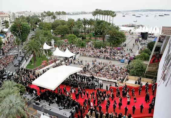 YouPorn oferuje pomoc Festiwalowi w Cannes. "Pokażemy wszystkie konkursowe filmy"