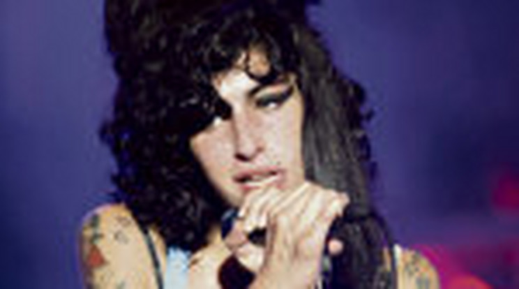 A drogba halt bele Amy Winehouse