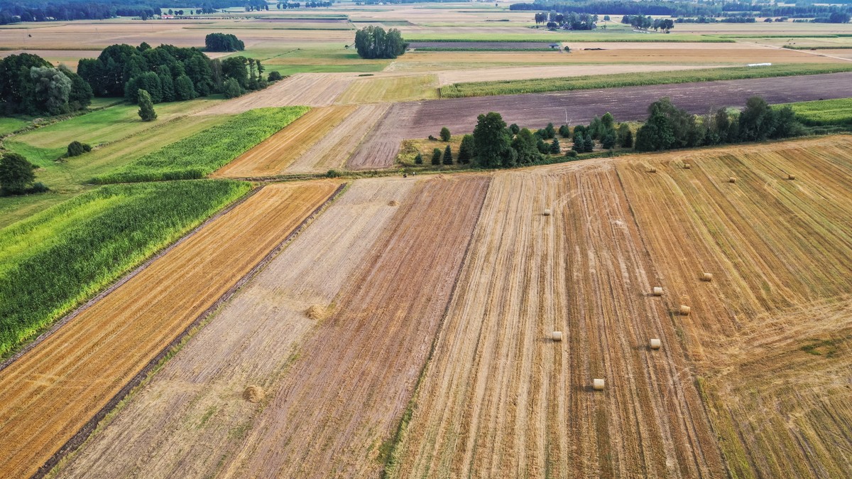 Weszły w życie nowe przepisy o gospodarowaniu nieruchomościami rolnymi