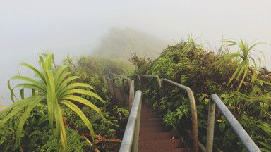 "Schody do nieba" na Hawajach zostaną otwarte dla turystów?