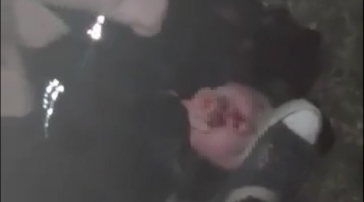 A botrányos videón verekedő lány intézetbe került, ahonnan most megszökött