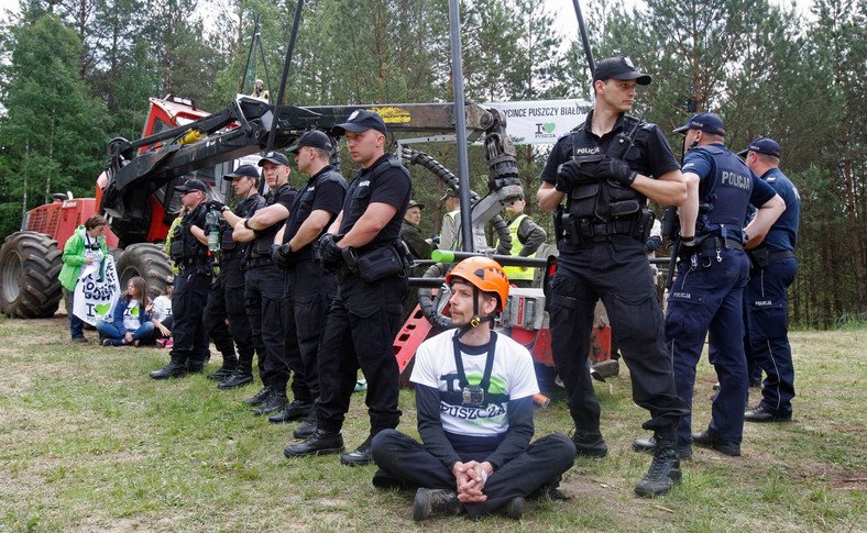 Puszcza Białowieska. Protest ekologów