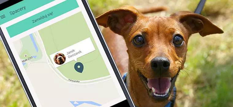 DingDog - polska aplikacja społecznościowa dla właścicieli psów