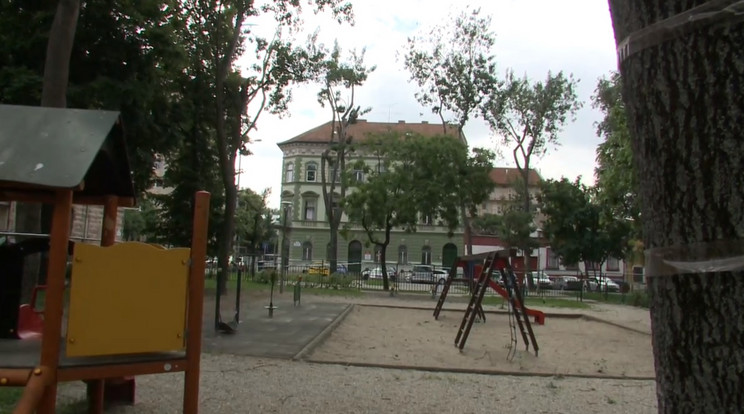 Varjak támadják meg a járókelőket egy budapesti játszótérnél 