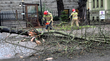 Załamanie pogody w Szczecinie. Połamane drzewa i interwencje strażaków [GALERIA]