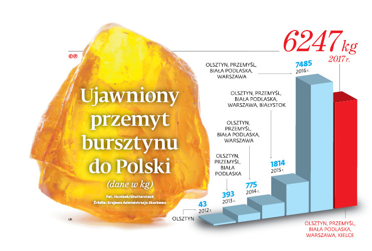 Ujawniony przemyt bursztynu do Polski