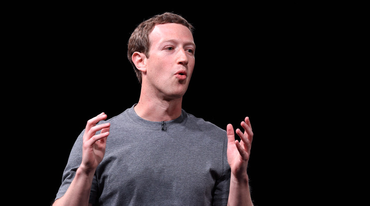 Zuckerberg mellett Beast igazi sztárrá vált /Fotó: AFP