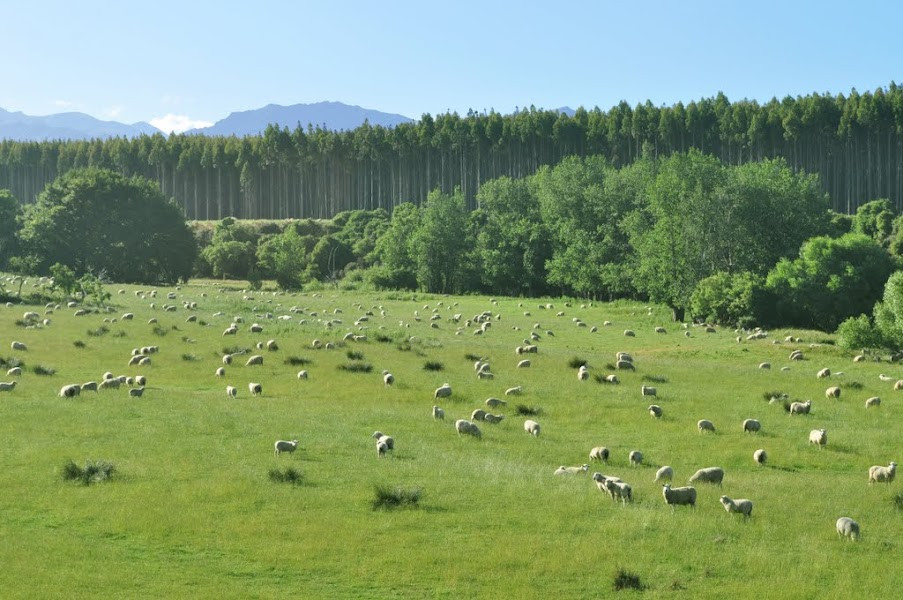 Nowa Zelandia - Fiordland