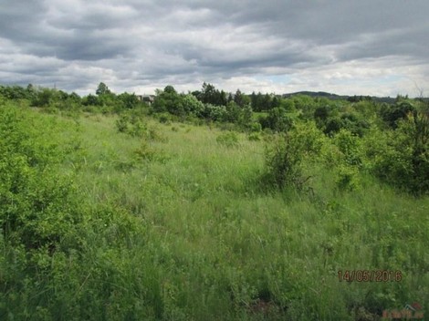 Plac na Trešnji za 120 evra po aru