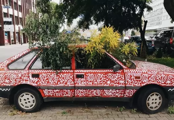 Porzucony Polonez przejęty przez rośliny. To praca znanego artysty ulicznego