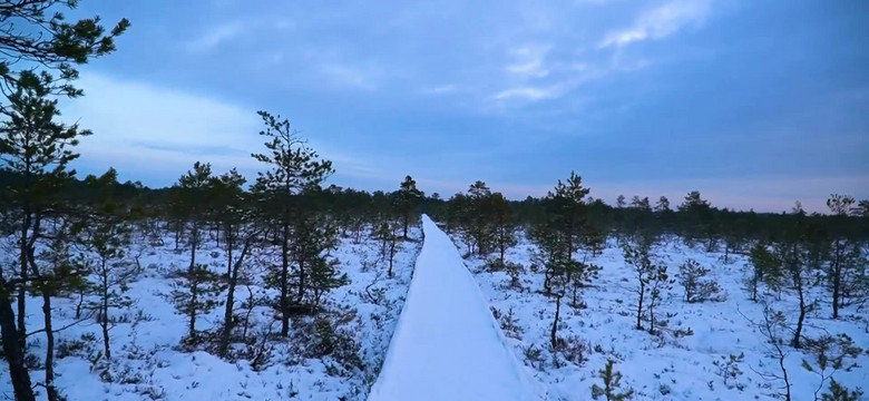 Park Narodowy Lahema w Estonii