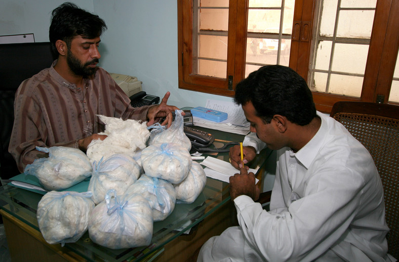 Brokerzy hinduscy oceniają dostarczone z różnych części Indii próbki bawełny